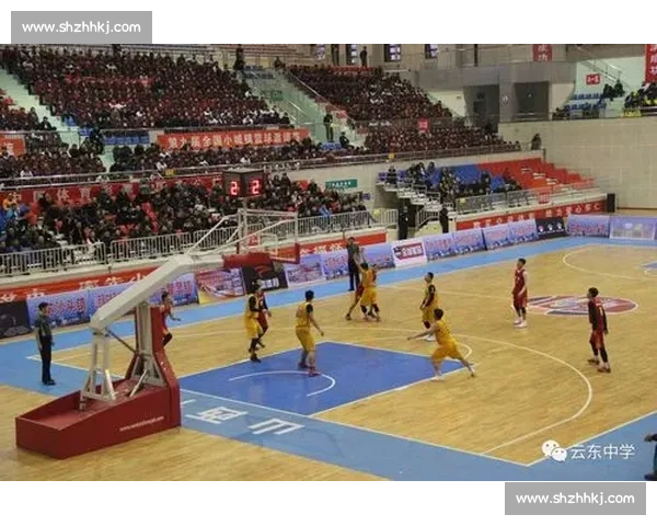 初次观看体育比赛时需要关注的关键事项全攻略